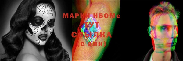 молекула духа Лабытнанги