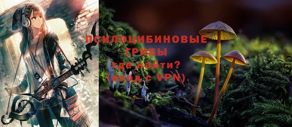 стаф Олёкминск